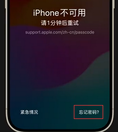 光村镇苹果手机密码维修分享iPhone忘记了刚设置的密码 