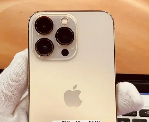 光村镇苹果13维修中心分享如何在iPhone13上设置动态壁纸